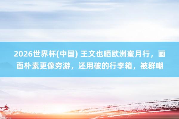 2026世界杯(中国) 王文也晒欧洲蜜月行，画面朴素更像穷游，还用破的行李箱，被群嘲