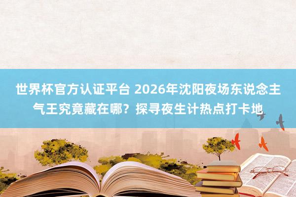 世界杯官方认证平台 2026年沈阳夜场东说念主气王究竟藏在哪？探寻夜生计热点打卡地