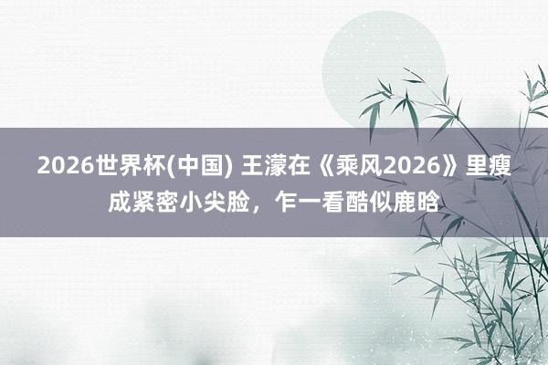 2026世界杯(中国) 王濛在《乘风2026》里瘦成紧密小尖脸，乍一看酷似鹿晗
