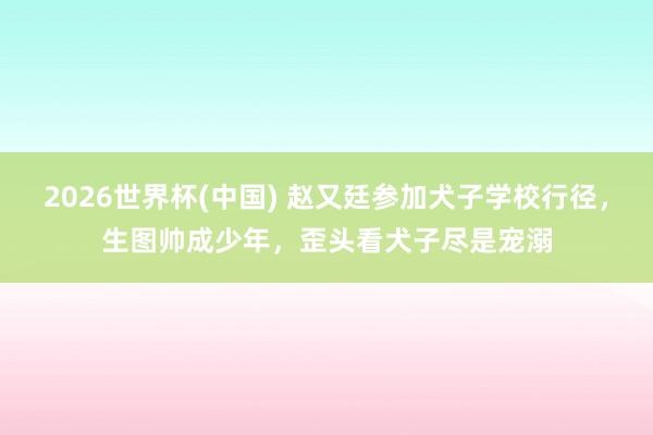 2026世界杯(中国) 赵又廷参加犬子学校行径，生图帅成少年，歪头看犬子尽是宠溺
