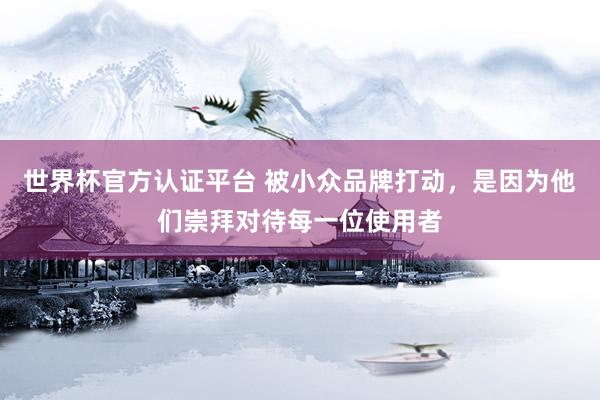 世界杯官方认证平台 被小众品牌打动，是因为他们崇拜对待每一位使用者