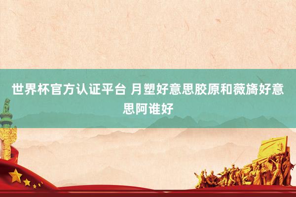 世界杯官方认证平台 月塑好意思胶原和薇旖好意思阿谁好
