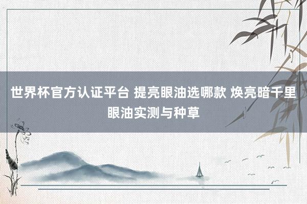 世界杯官方认证平台 提亮眼油选哪款 焕亮暗千里眼油实测与种草