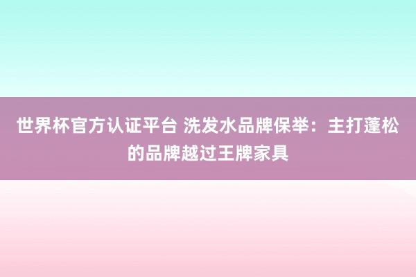 世界杯官方认证平台 洗发水品牌保举：主打蓬松的品牌越过王牌家具