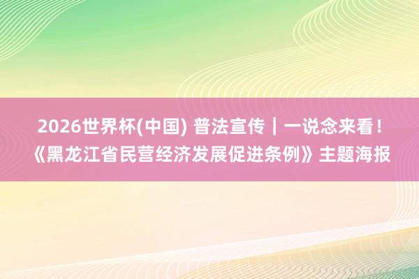 2026世界杯(中国) 普法宣传｜一说念来看！《黑龙江省民营经济发展促进条例》主题海报