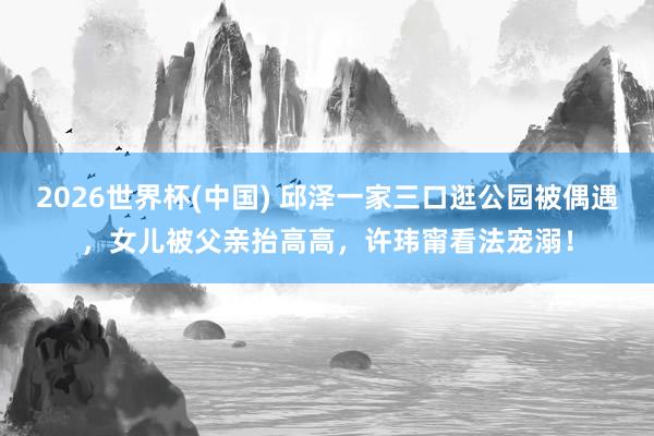 2026世界杯(中国) 邱泽一家三口逛公园被偶遇，女儿被父亲抬高高，许玮甯看法宠溺！