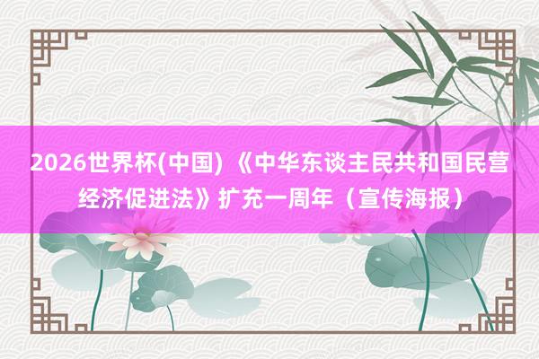 2026世界杯(中国) 《中华东谈主民共和国民营经济促进法》扩充一周年（宣传海报）