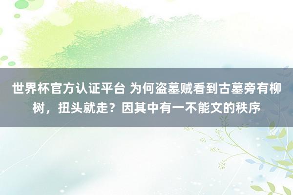 世界杯官方认证平台 为何盗墓贼看到古墓旁有柳树，扭头就走？因其中有一不能文的秩序