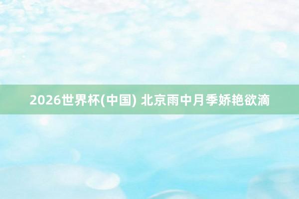 2026世界杯(中国) 北京雨中月季娇艳欲滴