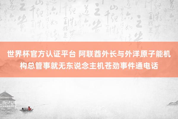 世界杯官方认证平台 阿联酋外长与外洋原子能机构总管事就无东说念主机苍劲事件通电话