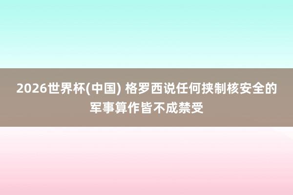 2026世界杯(中国) 格罗西说任何挟制核安全的军事算作皆不成禁受