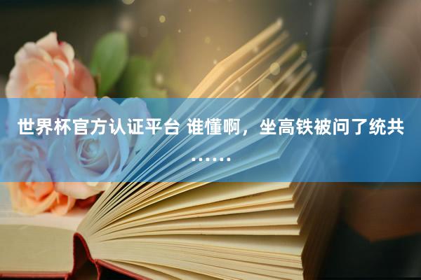 世界杯官方认证平台 谁懂啊，坐高铁被问了统共……