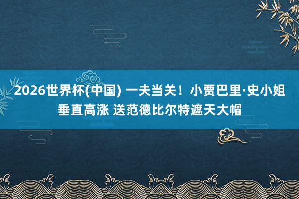 2026世界杯(中国) 一夫当关！小贾巴里·史小姐垂直高涨 送范德比尔特遮天大帽