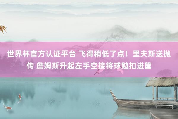 世界杯官方认证平台 飞得稍低了点！里夫斯送抛传 詹姆斯升起左手空接将球勉扣进筐