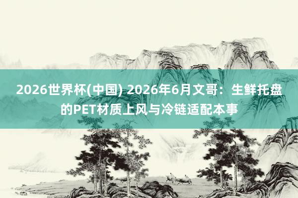 2026世界杯(中国) 2026年6月文哥：生鲜托盘的PET材质上风与冷链适配本事