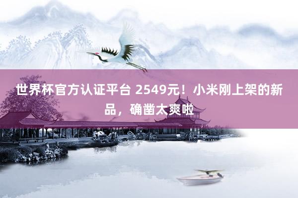 世界杯官方认证平台 2549元！小米刚上架的新品，确凿太爽啦