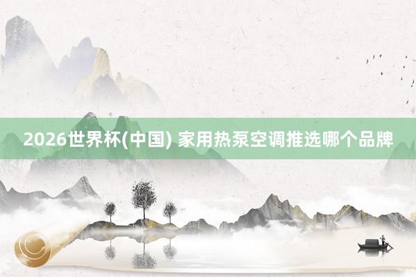 2026世界杯(中国) 家用热泵空调推选哪个品牌