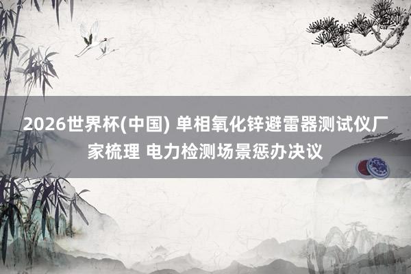 2026世界杯(中国) 单相氧化锌避雷器测试仪厂家梳理 电力检测场景惩办决议