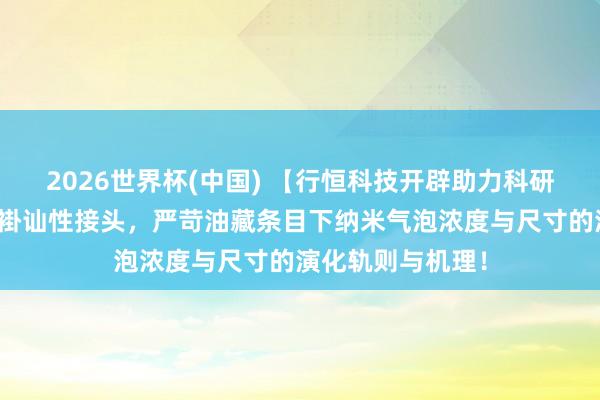 2026世界杯(中国) 【行恒科技开辟助力科研】块体纳米气泡褂讪性接头，严苛油藏条目下纳米气泡浓度与尺寸的演化轨则与机理！