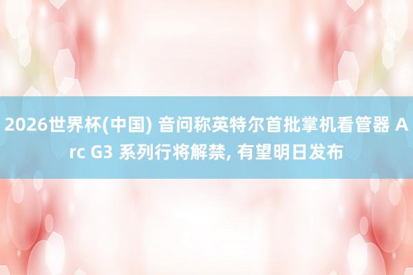 2026世界杯(中国) 音问称英特尔首批掌机看管器 Arc G3 系列行将解禁， 有望明日发布