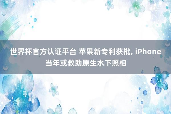 世界杯官方认证平台 苹果新专利获批， iPhone当年或救助原生水下照相
