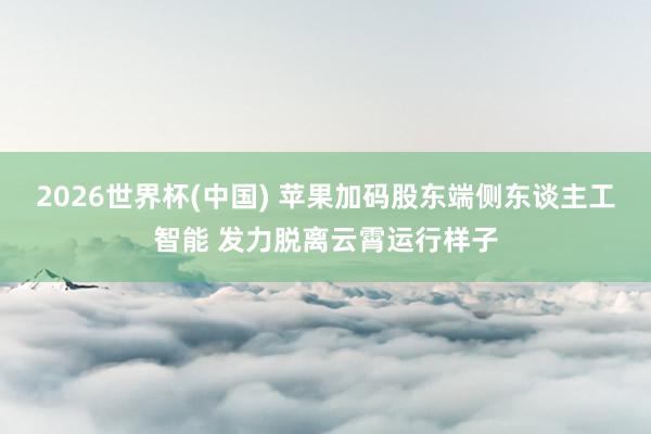 2026世界杯(中国) 苹果加码股东端侧东谈主工智能 发力脱离云霄运行样子