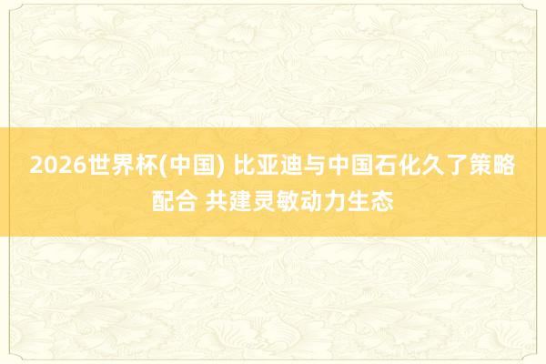 2026世界杯(中国) 比亚迪与中国石化久了策略配合 共建灵