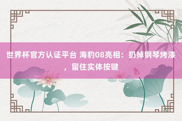 世界杯官方认证平台 海豹08亮相：扔掉钢琴烤漆，留住实体按键