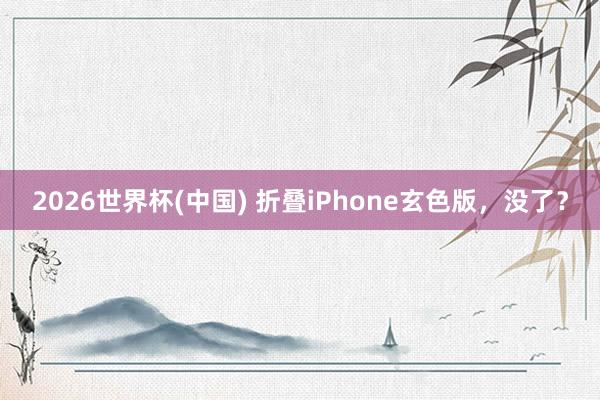 2026世界杯(中国) 折叠iPhone玄色版,没了?