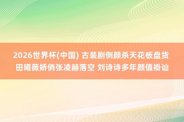 2026世界杯(中国) 古装剧侧颜杀天花板盘货 田曦薇娇俏张凌赫落空 刘诗诗多年颜值褂讪