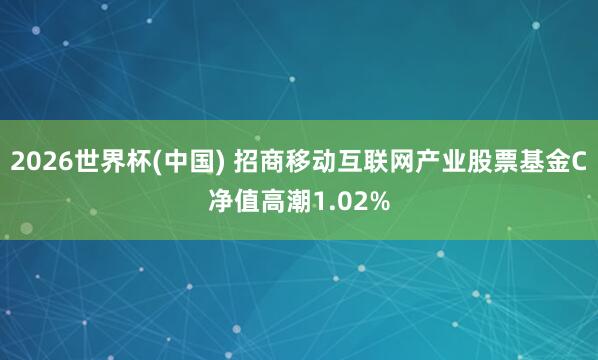 2026世界杯(中国) 招商移动互联网产业股票基金C净值高潮1.02%