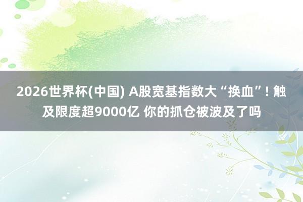 2026世界杯(中国) A股宽基指数大“换血”! 触及限度超9000亿 你的抓仓被波及了吗