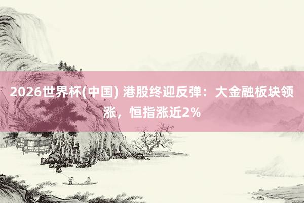 2026世界杯(中国) 港股终迎反弹：大金融板块领涨，恒指涨近2%