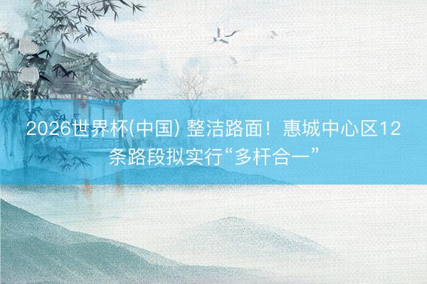 2026世界杯(中国) 整洁路面！惠城中心区12条路段拟实行“多杆合一”