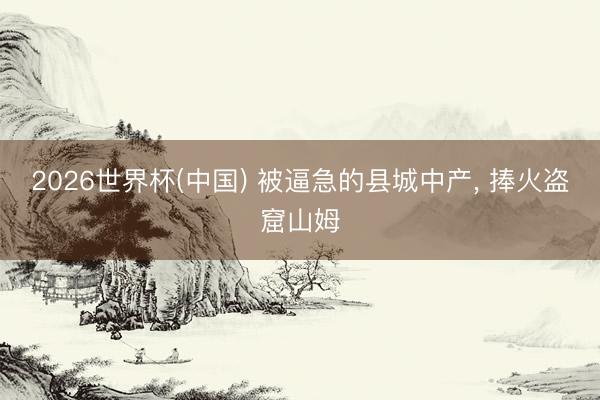 2026世界杯(中国) 被逼急的县城中产， 捧火盗窟山姆